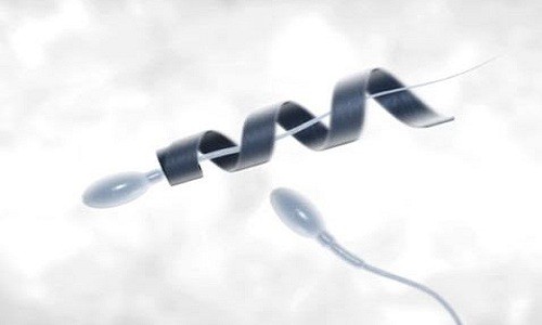 Lắp 'mô tơ' để giúp tinh trùng yếu chạy nhanh hơn ảnh 1