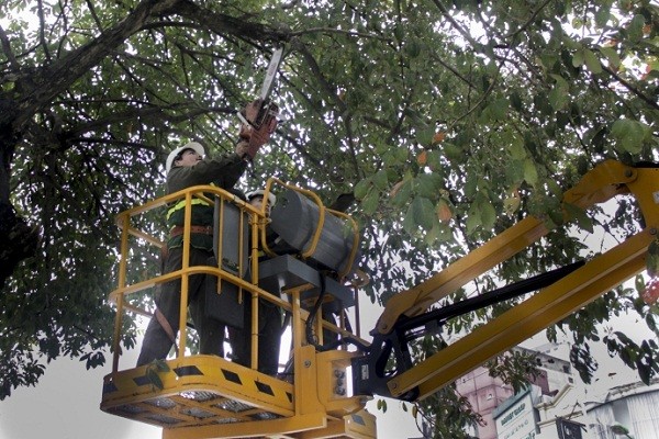 Ngắm Hà Nội rực rỡ cờ hoa dịp Đại hội Đảng 12 ảnh 7