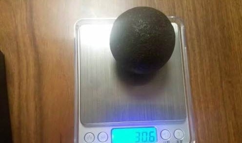 Đổi đời nhờ phát hiện dược liệu cực quý trong bụng cừu ảnh 2