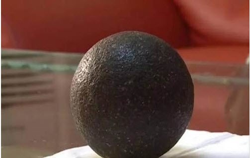 Đổi đời nhờ phát hiện dược liệu cực quý trong bụng cừu ảnh 3