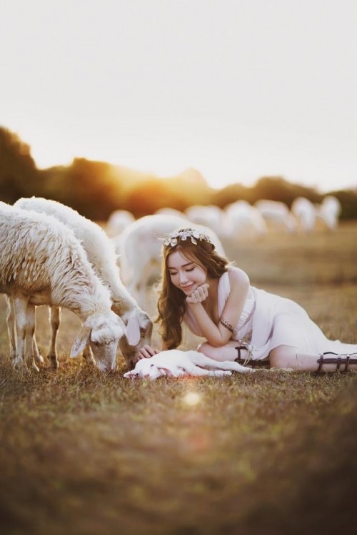 Elly Trần đẹp ‘mê hồn’ giữa thảo nguyên mênh mông ảnh 2