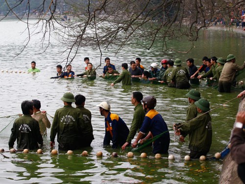 ‘Cụ’ rùa Hồ Gươm và lần vớt lưới trị bệnh đáng nhớ ảnh 3