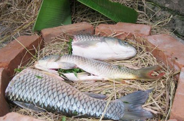 Cá nướng úp chậu, món nổi tiếng ngày tết chỉ có ở đất Thành Nam ảnh 2