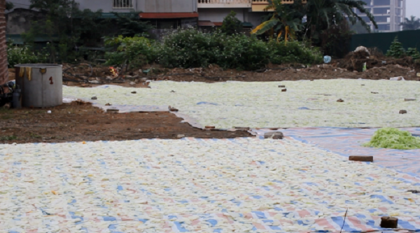 Kinh hoàng mứt tết phơi cạnh nhà vệ sinh ở làng nghề lớn nhất VN ảnh 2