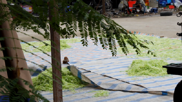 Kinh hoàng mứt tết phơi cạnh nhà vệ sinh ở làng nghề lớn nhất VN ảnh 3