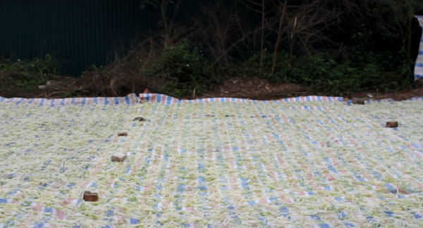 Kinh hoàng mứt tết phơi cạnh nhà vệ sinh ở làng nghề lớn nhất VN ảnh 4