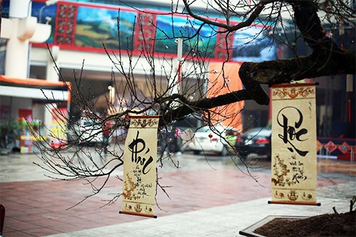 Chiêm ngưỡng đào đá Sapa có giá 300 triệu ở Hà Nội ảnh 6