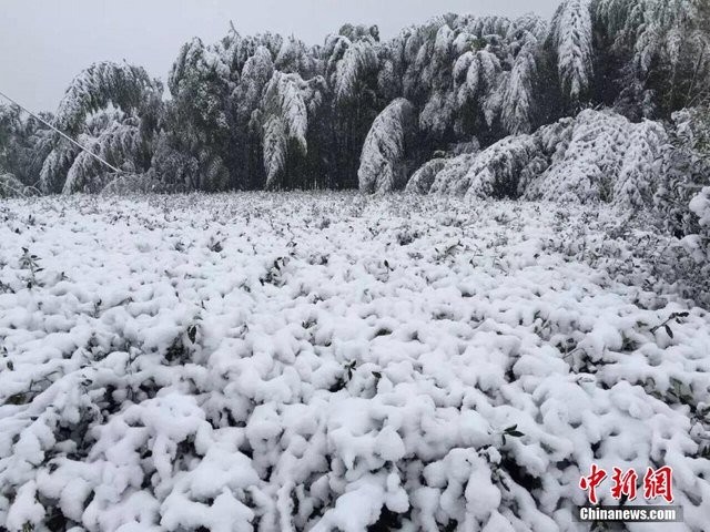 Trung Quốc lạnh đến nỗi hắt nước sôi cũng hóa băng ảnh 6