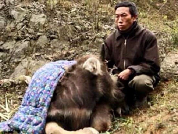 Tuyết rơi trên diện rộng tại Mù Cang Chải ảnh 5