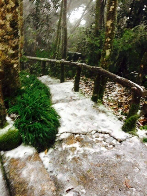 Sau Sa Pa, Mẫu Sơn, Hà Nội cũng có tuyết rơi ? ảnh 3