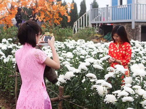 Những bức ảnh cực ‘độc’ chỉ có trong những ngày siêu rét ở Bắc Bộ ảnh 9