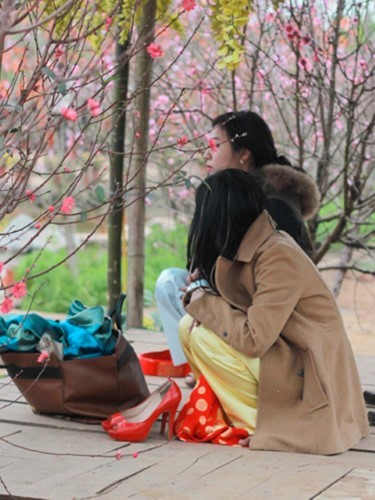 Những bức ảnh cực ‘độc’ chỉ có trong những ngày siêu rét ở Bắc Bộ ảnh 10