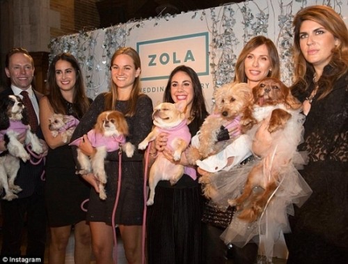 Váy cưới hơn 200 triệu, vòng cưới 2,9 tỷ của cặp chó nổi tiếng ảnh 5