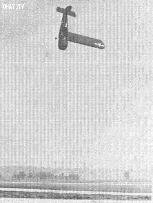 Ám ảnh bức hình cuối cùng của những người cận kề cái chết ảnh 7