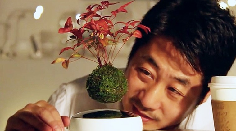 Kiếm bạc triệu bằng Bonsai... biết bay ảnh 1