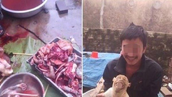 Thanh niên khoe ảnh giết khỉ lên Facebook bị phạt 5,25 triệu đồng ảnh 1