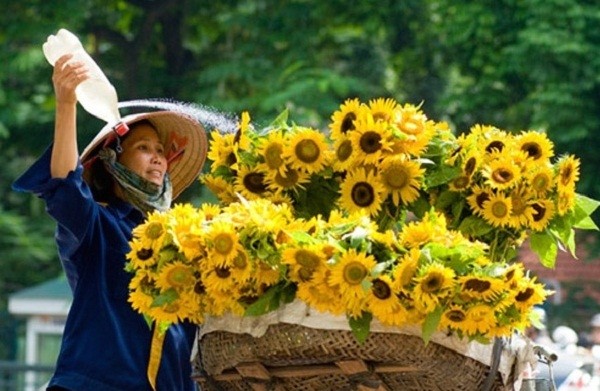 Không khí lạnh suy yếu, thời tiết miền Bắc chuyển biến tích cực ảnh 1