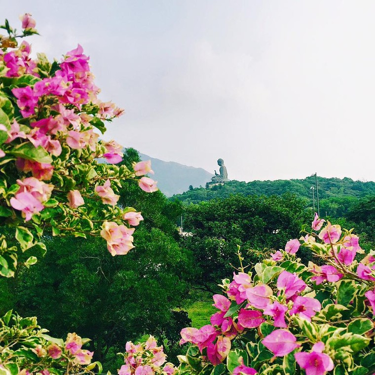 Kinh nghiệm du lịch Hồng Kông 6 ngày 5 đêm chỉ với 15 triệu đồng ảnh 7