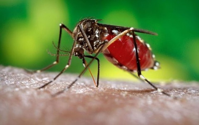 Báo động virus Zika bùng phát tại Colombia ảnh 1