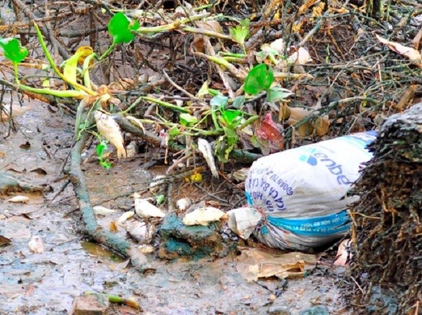 Hàng trăm hộ dân bất lực nhìn cá chết trắng sông ảnh 6