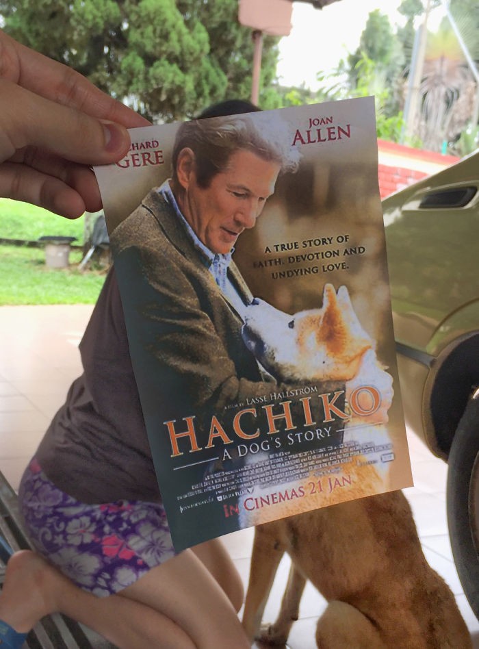 Những màn kết hợp ‘bá đạo’ giữa chó và… poster phim ảnh 4