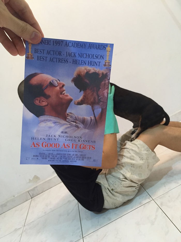 Những màn kết hợp ‘bá đạo’ giữa chó và… poster phim ảnh 8