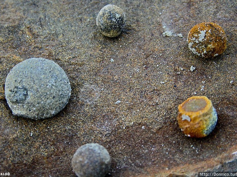 Hòn đảo huyền bí toàn bóng đá chưa lời giải đáp ảnh 4