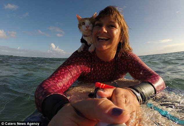 Gặp Kuli – chú mèo một mắt lướt sóng cực thuần thục tại Hawaii ảnh 6