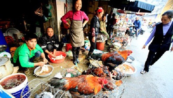 Tràn lan giấy và dấu kiểm dịch động vật giả đầu độc người tiêu dùng ảnh 2