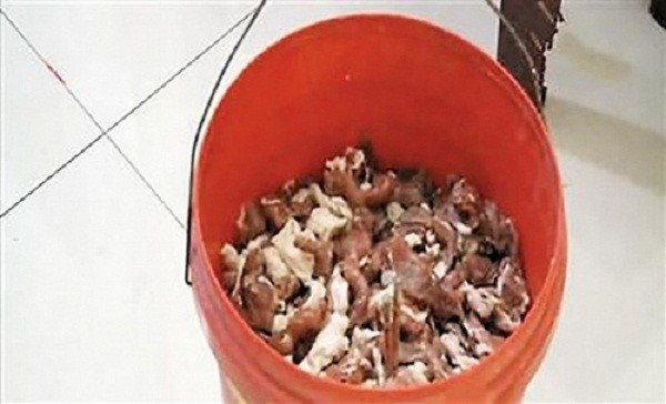 Hoảng hồn với miếng thịt lợn phát sáng trong đêm và lý do đáng sợ ảnh 2