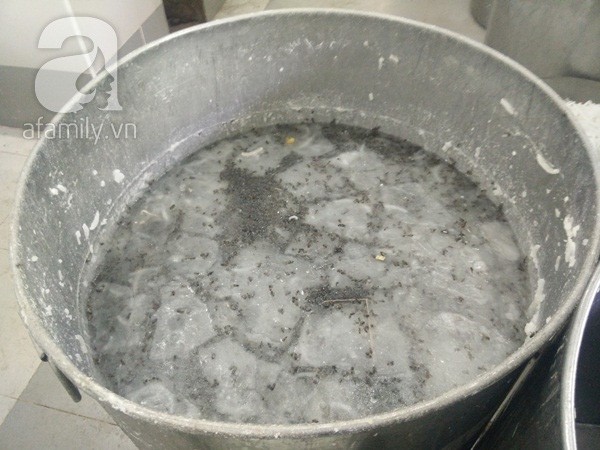 Bạn có dám ăn mứt tết khi xem những hình ảnh này? ảnh 3