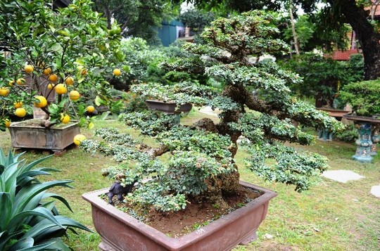 Sững sờ trước 'biệt phủ' triệu đô giữa lòng Hà Nội ảnh 13