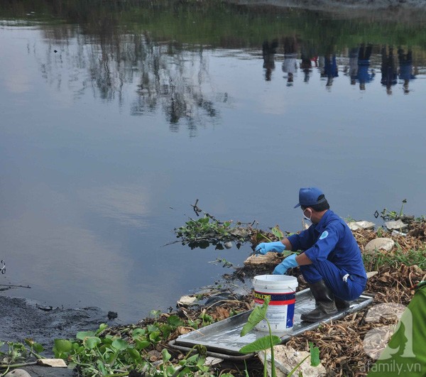 Đi vớt bèo, kinh hoàng phát hiện thi thể không đầu ảnh 2