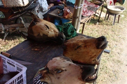 Chợ Viềng: Đầu bê trưng đầy, thịt bê đắt đỏ ảnh 3