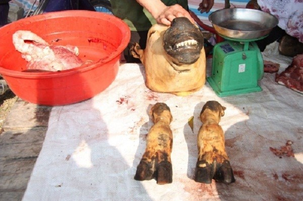 Chợ Viềng: Đầu bê trưng đầy, thịt bê đắt đỏ ảnh 4