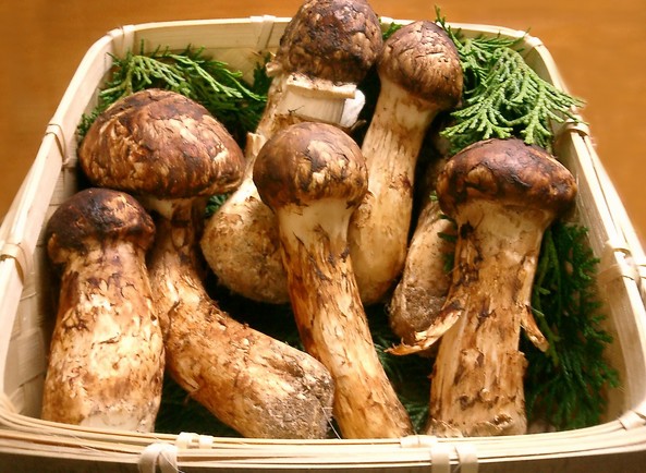 6 loại thực phẩm đắt nhất Nhật Bản ảnh 4