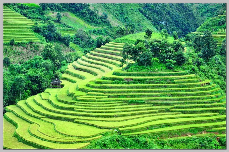 Những điểm du lịch hấp dẫn nhất Tây Bắc trong mùa xuân ảnh 4