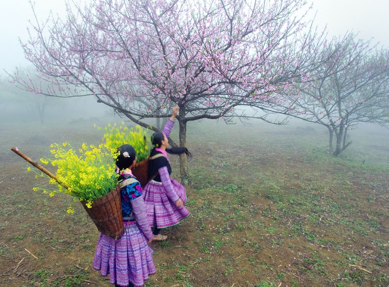 Những điểm du lịch hấp dẫn nhất Tây Bắc trong mùa xuân ảnh 6