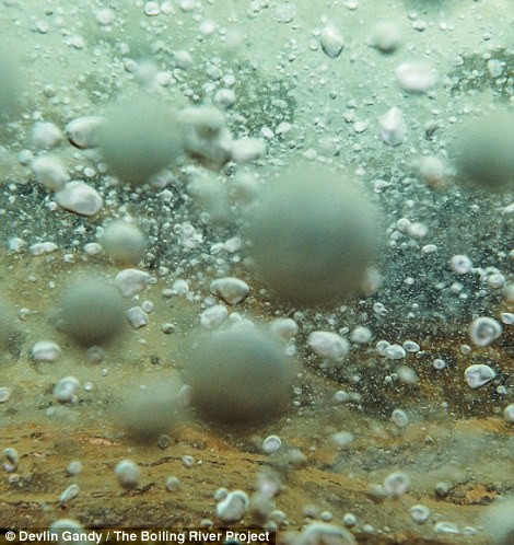 Kỳ lạ dòng sông quanh năm sôi sục giữa rừng Amazon ảnh 4