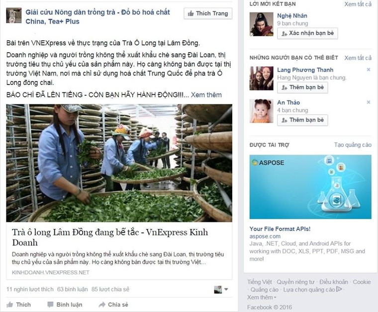 Khi trà Ô Long TEA Plus bị giới trẻ tẩy chay ảnh 2