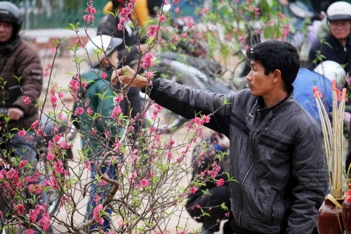 Những hình ảnh xem xong khiến bạn chỉ muốn về quê ăn Tết ảnh 4