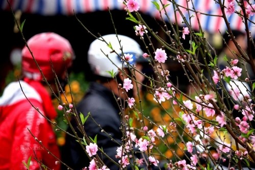 Những hình ảnh xem xong khiến bạn chỉ muốn về quê ăn Tết ảnh 6