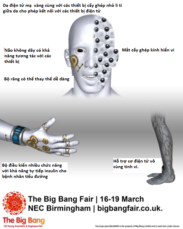 Tiếp theo, loài người sẽ tiến hóa thành Cyborg bất tử ảnh 2