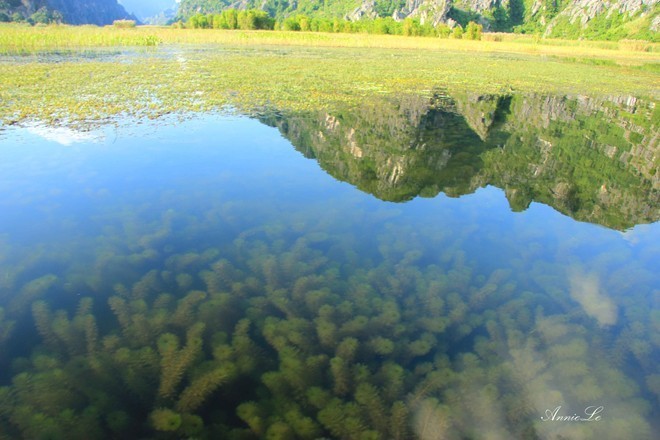 Khung cảnh 'thần tiên' của VN có thể xuất hiện ở King Kong 2 ảnh 3