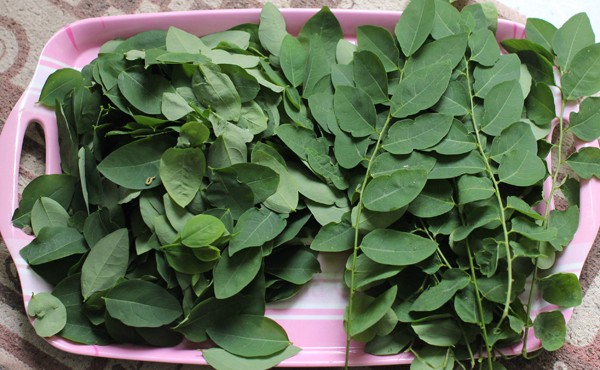 Nguy hại khôn lường từ những loại rau bạn ăn hàng ngày ảnh 1