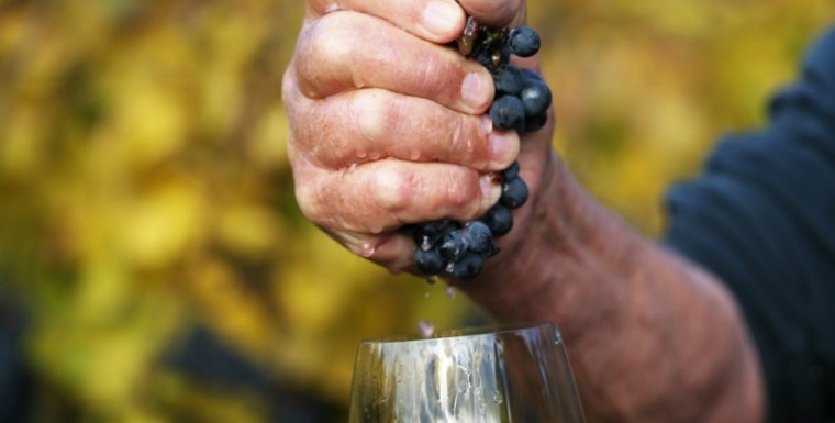 5 điều bạn cần biết về loại rượu ‘tự nhiên’ ảnh 2