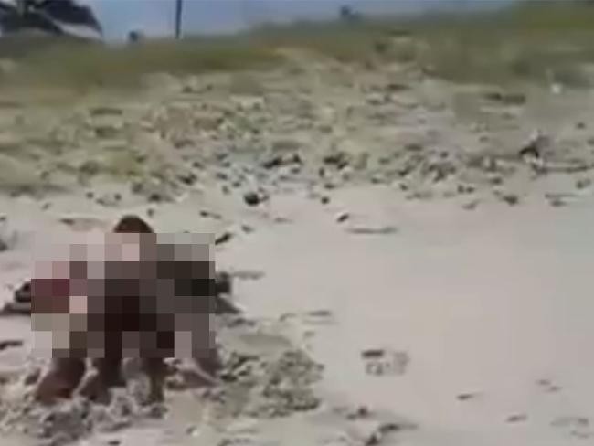 Cặp đôi thản nhiên ‘mây mưa’ trên bãi biển gây sốc ảnh 1