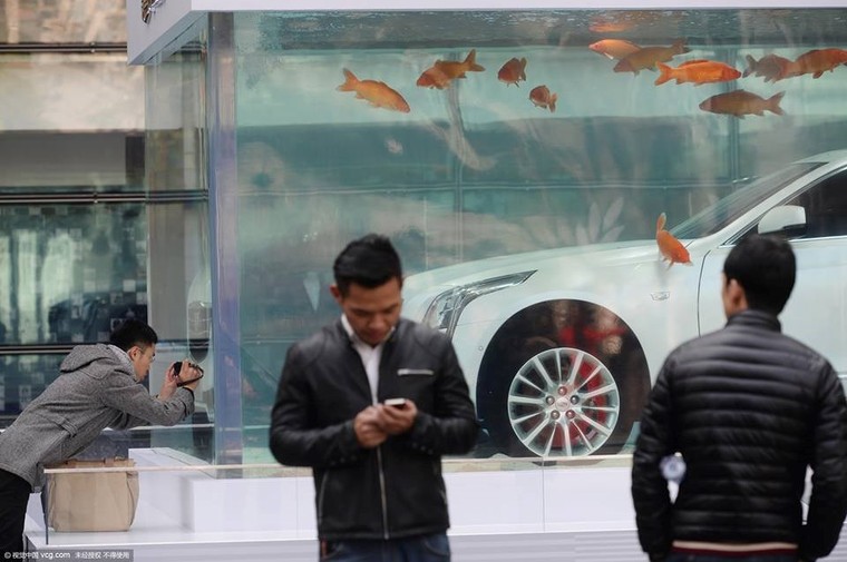 Cadillac CT6 ‘chịu chơi’ ngâm mình trong bể cá ảnh 2