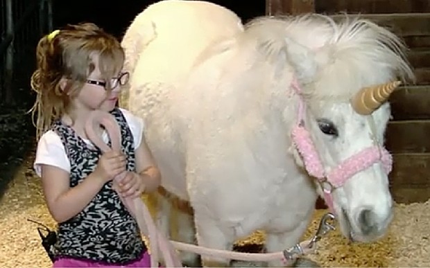 Cảnh sát Mỹ huy động trực thăng để bắt ngựa một sừng ảnh 2