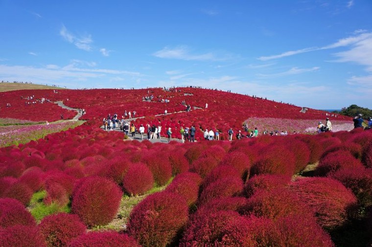 10 địa điểm trên thế giới khiến bạn muốn 'vứt bỏ' mọi thứ để đến ảnh 14
